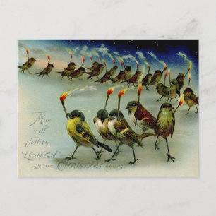 Carte Postale Étrange Mob Vintage d'oiseaux avec des allumettes