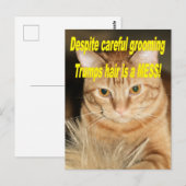 Carte Postale Étrange vieux Trump (Devant / Derrière)