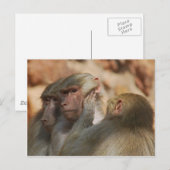 Carte Postale Être attentif les uns aux autres (Devant / Derrière)