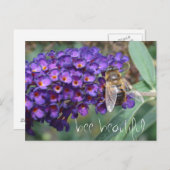 Carte Postale être belle (Devant / Derrière)