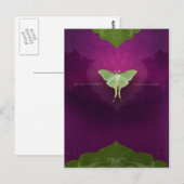 Carte Postale Être toujours (carte postale) (Devant / Derrière)