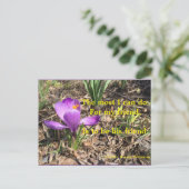 CARTE POSTALE ÊTRE UN AMI -THOREAU POSTCARD (Debout devant)