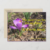 CARTE POSTALE ÊTRE UN AMI -THOREAU POSTCARD (Devant / Derrière)