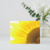 Carte Postale être votre propre tournesol (Debout devant)