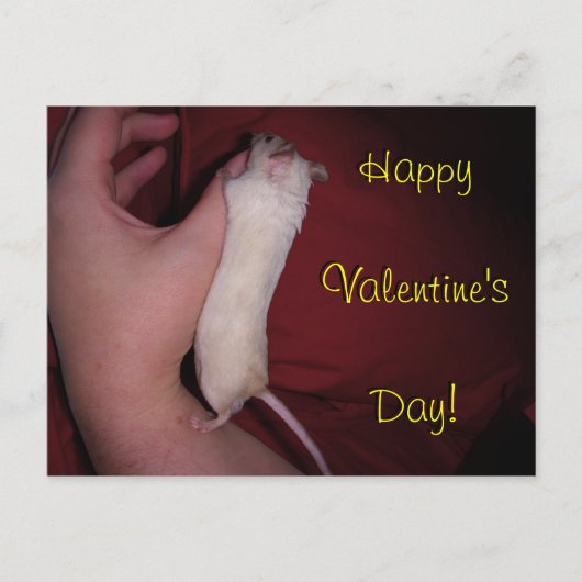 Carte postale : Étreinte Valentine de souris (Devant)