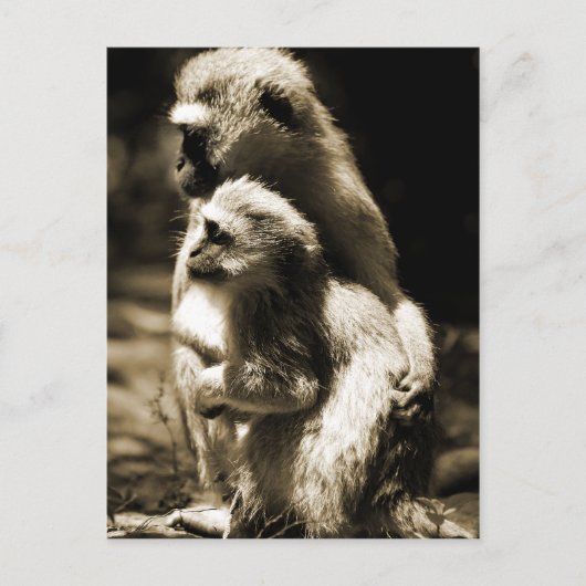 Carte Postale Étreintes (Devant)