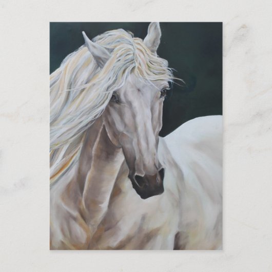 Carte Postale Étrier (Devant)