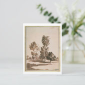 Carte Postale Étude d'arbre (stylo & encre sur papier) (Debout devant)