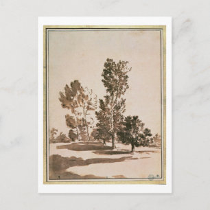 Carte Postale Étude d'arbre (stylo & encre sur papier)