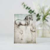 Carte Postale Étude de cheval (Debout devant)