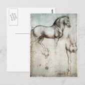 Carte Postale Étude de cheval (Devant / Derrière)