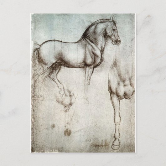 Carte Postale Étude de cheval (Devant)
