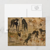 Carte Postale Étude de Hounds, 1616 (Devant / Derrière)