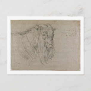 Carte Postale Étude de la tête d'un bélier (noir, sanguine & bla