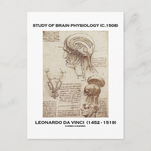 Carte Postale Étude De Physiologie Du Cerveau (Leonardo da Vinci (Devant)