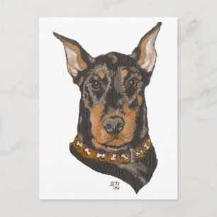 Carte Postale Étude de tête de Doberman Pinscher