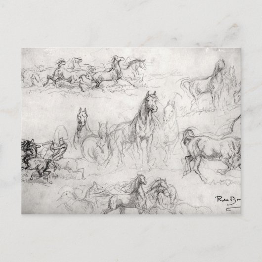 Carte Postale Étude des chevaux (Devant)