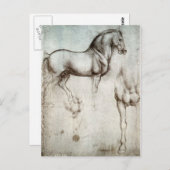 Carte Postale Étude des chevaux - Léonard de Vinci (Devant / Derrière)