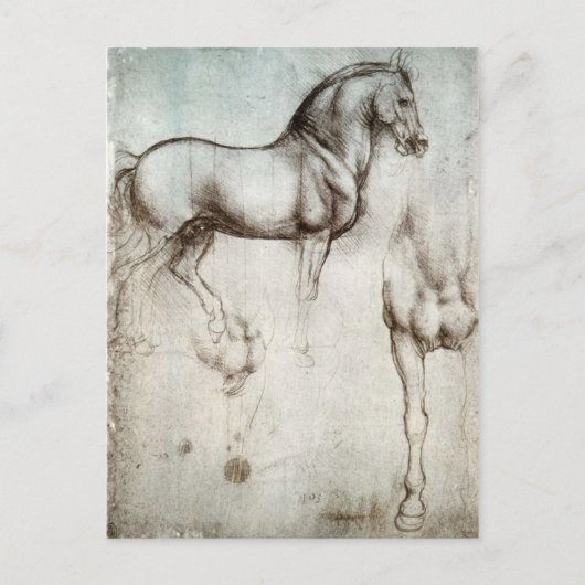 Carte Postale Étude des chevaux - Léonard de Vinci (Devant)