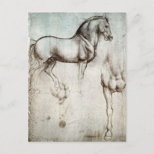 Carte Postale Étude des chevaux - Léonard de Vinci (Devant)