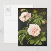Carte Postale Étude des fleurs (Devant / Derrière)