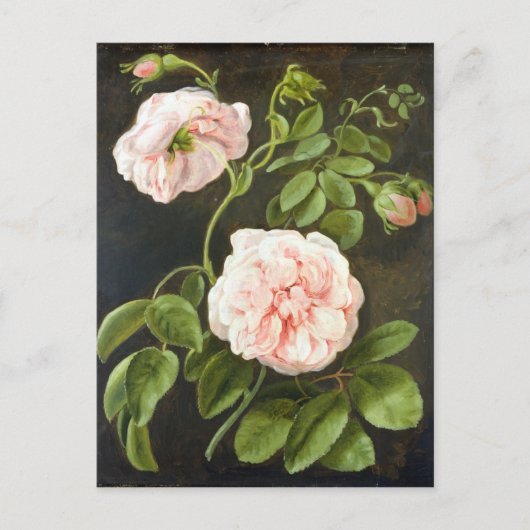 Carte Postale Étude des fleurs (Devant)