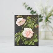 Carte Postale Étude des fleurs (Debout devant)