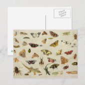 Carte Postale Étude des insectes (Devant / Derrière)