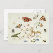 Carte Postale Étude des insectes et des fleurs (Devant / Derrière)