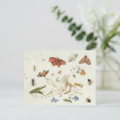 Carte Postale Étude des insectes et des fleurs (Debout devant)