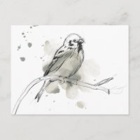 Étude des oiseaux de la nature