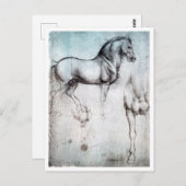 Carte Postale Étude du cheval, Léonard de Vinci (Devant / Derrière)