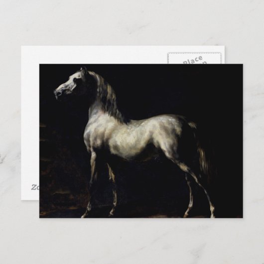 Carte Postale Étude d'un gris pommelé (Devant / Derrière)