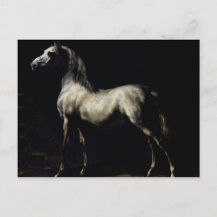 Carte Postale Étude d'un gris pommelé