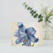 Carte Postale Étude d'un lis, 1526 (Debout devant)