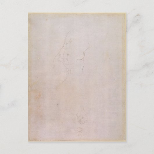 Carte Postale Étude d'un torse mâle (Devant)