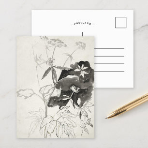 Carte Postale Étude plante   Carel Adolph Cachet