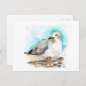 Carte Postale Étude sur le goéland 2 (Devant / Derrière)