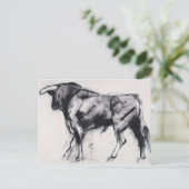 Carte Postale Étude Toro Azul (Debout devant)