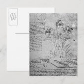 Carte Postale Études de Violas (Devant / Derrière)
