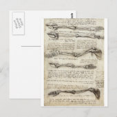 Carte Postale Études du bras (Devant / Derrière)