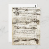 Carte Postale Études du bras montrant les mouvements effectués p (Devant / Derrière)