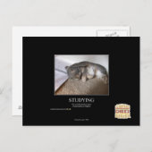 Carte Postale Étudier (Devant / Derrière)