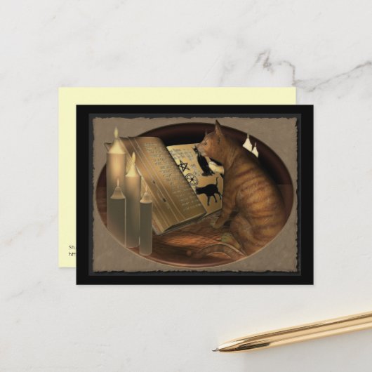 Carte Postale Étudier les leçons de chats (Devant/Arrière en situation)