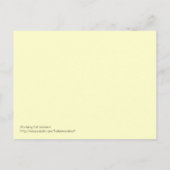 Carte Postale Étudier les leçons de chats (Dos)