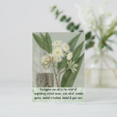 Carte postale Eucalyptus (Debout devant)
