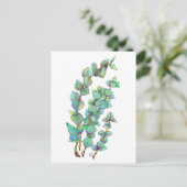 Carte Postale Eucalyptus 02 (Debout devant)