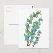 Carte Postale Eucalyptus 02 (Devant / Derrière)