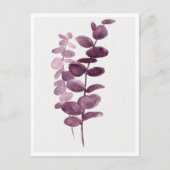 Carte postale - Eucalyptus Aquarelles (Devant)