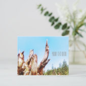 Carte postale Eucalyptus Tree Stump Blue Sky (Debout devant)